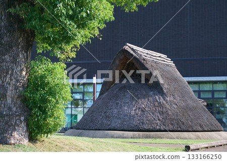 愛知朝日遺址博物館的半地穴居屋 133166250