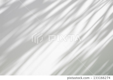 Abstract natural tree leaves shadow on white wall background Abstract natural tree leaves shadow on white wall background 133166274