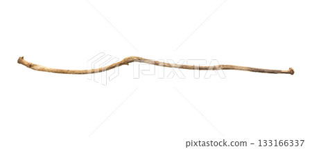 Dry tree branches isolated on white background 133166337