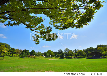 愛知縣小牧市東嘉台新城東嘉台中央公園 愛知縣小牧市東嘉台新城東嘉台中央公園 133166408