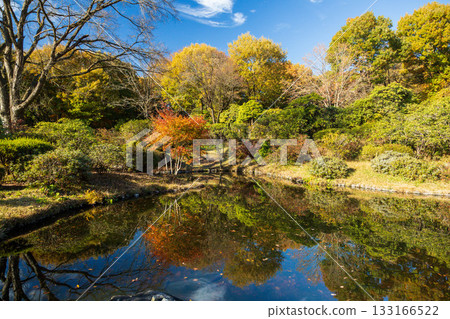 Autumn at Akagi Nature Park, Rhododendron Garden Pond, Gunma Prefecture 133166522