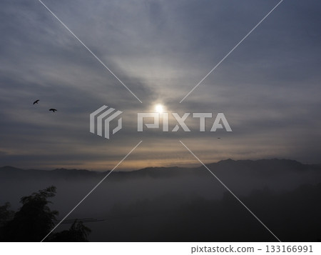 Fantastic morning mist 133166991