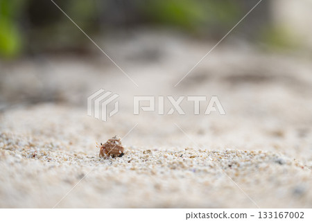 令人放鬆的景色 133167002