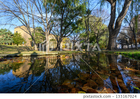 北海道大學校園的深秋_6247 133167024