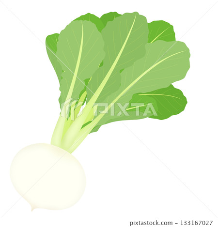 Illustration of the seven herbs of spring, Suzuna 133167027