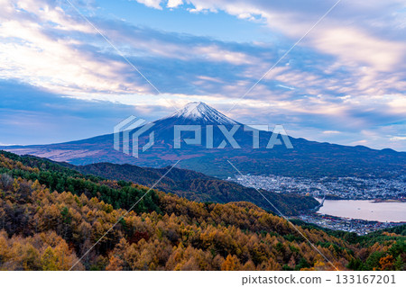 [Yamanashi Prefecture] Yellow larch leaves and snow-capped Mount Fuji 133167201