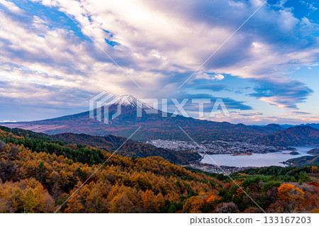 [Yamanashi Prefecture] Yellow larch leaves and snow-capped Mount Fuji 133167203