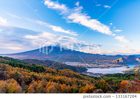 [Yamanashi Prefecture] Yellow larch leaves and snow-capped Mount Fuji 133167204