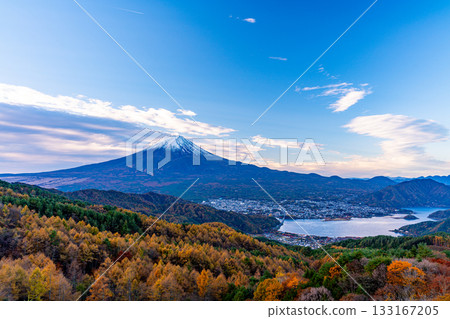 [Yamanashi Prefecture] Yellow larch leaves and snow-capped Mount Fuji 133167205