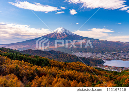 [Yamanashi Prefecture] Yellow larch leaves and snow-capped Mount Fuji 133167216