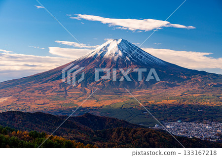 【山梨縣】金黃色的落葉松和白雪皚皚的富士山 133167218