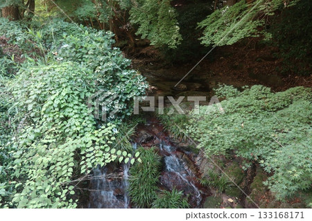 六甲山大師路 六甲山大師路 133168171