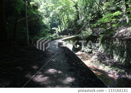 六甲山大師路 六甲山大師路 133168181
