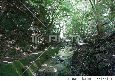 Daishi Road on Mount Rokko Daishi Road on Mount Rokko 133168183