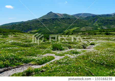 Mount Aka seen from the hiking trail from Mount Kuro to Mount Hokuchin (Higashidaisetsu-Daisetsuzan National Park) 133168230