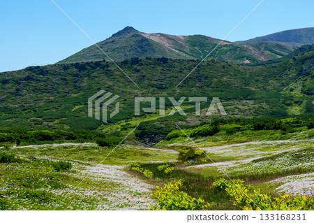 Mount Aka seen from the hiking trail from Mount Kuro to Mount Hokuchin (Higashidaisetsu-Daisetsuzan National Park) 133168231