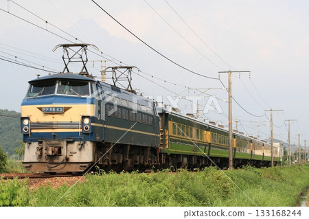 EF66 Salon Car Naniwa 133168244