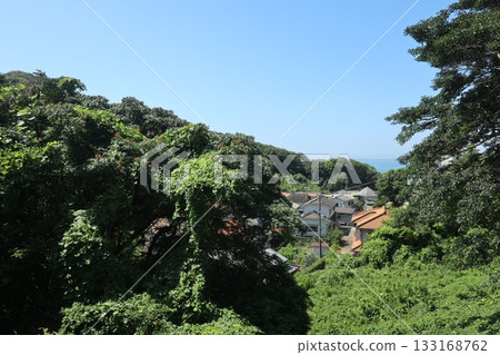 六甲山登山步道(鹽谷~須磨浦山上游樂園路線) 六甲山登山步道(鹽谷~須磨浦山上游樂園路線) 133168762