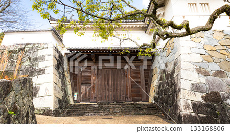 Autumn scenery of the Umemon Gate of Tatsuno Castle in Tatsuno City, Hyogo Prefecture 133168806