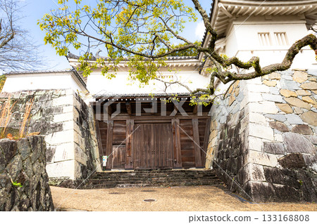 Autumn scenery of the Umemon Gate of Tatsuno Castle in Tatsuno City, Hyogo Prefecture Autumn scenery of the Umemon Gate of Tatsuno Castle in Tatsuno City, Hyogo Prefecture 133168808