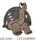 Aldabra giant tortoise dressed as a zombie 133168964