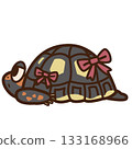 A red-footed tortoise dressed up with ribbons tied to its shell 133168966
