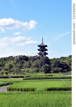 岡山Kibiji六本木國分寺五層寶塔 133169264