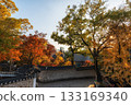 Deoksugung Doldam Gil Autumn Foliage 133169340