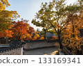 Deoksugung Doldam Gil Autumn Foliage 133169341