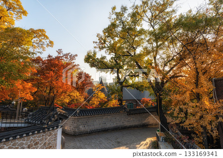 Deoksugung Doldam Gil Autumn Foliage 133169341