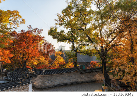 Deoksugung Doldam Gil Autumn Foliage Deoksugung Doldam Gil Autumn Foliage 133169342