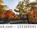 Deoksugung Doldam Gil Autumn Foliage 133169343