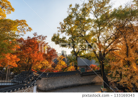 Deoksugung Doldam Gil Autumn Foliage 133169343