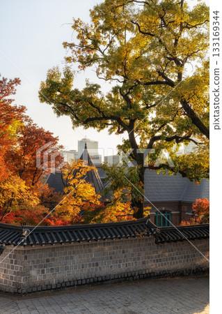 Deoksugung Doldam Gil Autumn Foliage 133169344