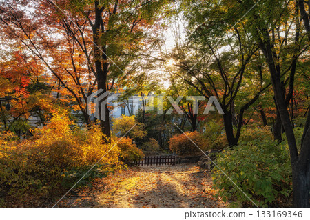 Deoksugung Palace Park Autumn Foliage 133169346