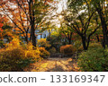 Deoksugung Palace Park Autumn Foliage 133169347