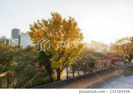 Deoksugung Palace Autumn Foliage 133169348