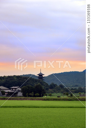 岡山吉美寺備中國分寺晨五層寶塔 133169386