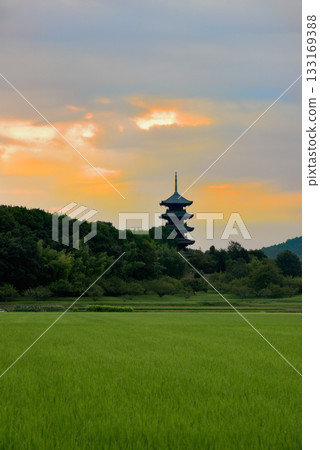 岡山吉美寺備中國分寺晨五層寶塔 岡山吉美寺備中國分寺晨五層寶塔 133169388
