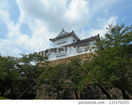 Tsuyama城堡城堡塔 133170203