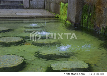 Otowa Falls, a sacred spot at Kiyomizu-dera Temple in Kyoto 133170401