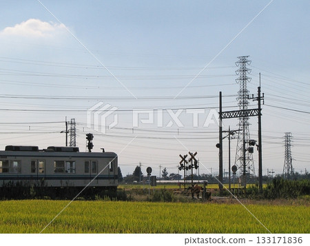 Tobu Isesaki Line train bound for Shin-Isesaki (2013.9.29) Closer to the No. 478 railroad crossing in Italy. Backlit. 133171836