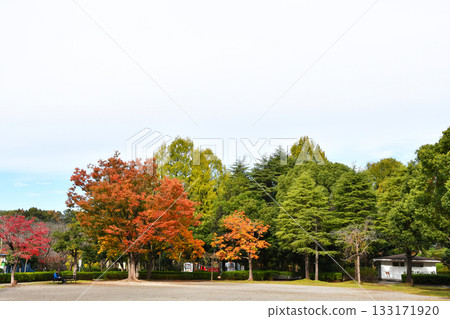 丸山上尾公園_13 133171920