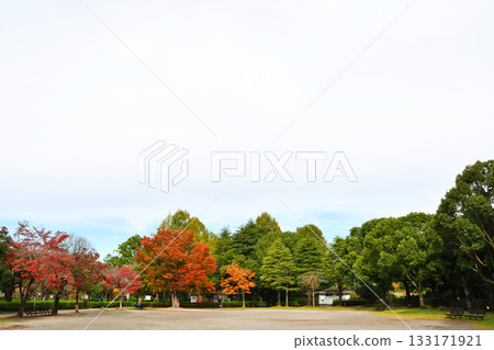 Ageo Maruyama Park_14 Ageo Maruyama Park_14 133171921