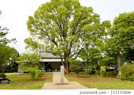 奈良縣奈良市大安寺。透過大安寺內門處的石碑,可以看到寶物殿。 奈良縣奈良市大安寺。透過大安寺內門處的石碑,可以看到寶物殿。 133172006