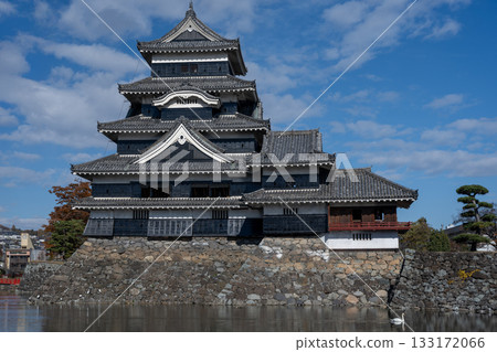 松本城和護城河上的葡萄藤 133172066