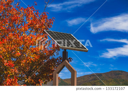 秋葉、太陽能板和晴朗的秋日天空 秋葉、太陽能板和晴朗的秋日天空 133172107