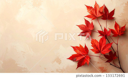 A quiet autumn space decorated with red maples 133172691