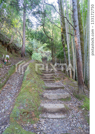 前往愛宕山(京都府舞鶴市) 前往愛宕山(京都府舞鶴市) 133172750