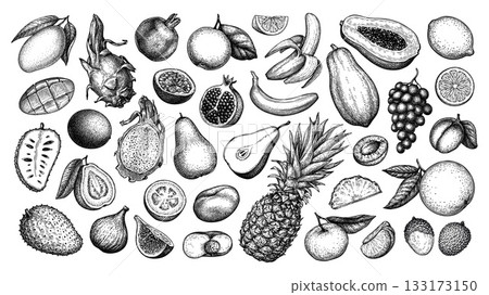 Fruits big collection. Ink sketches. Fruits big collection. Ink sketches. 133173150